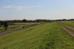 IMG 0916