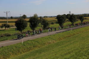 IMG 0917