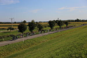 IMG 0918