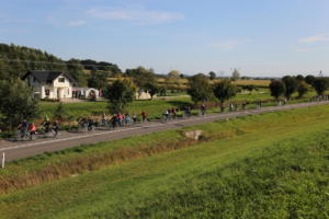 IMG 0924