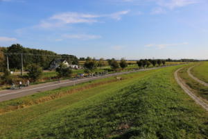 IMG 0931