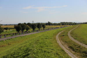 IMG 0935